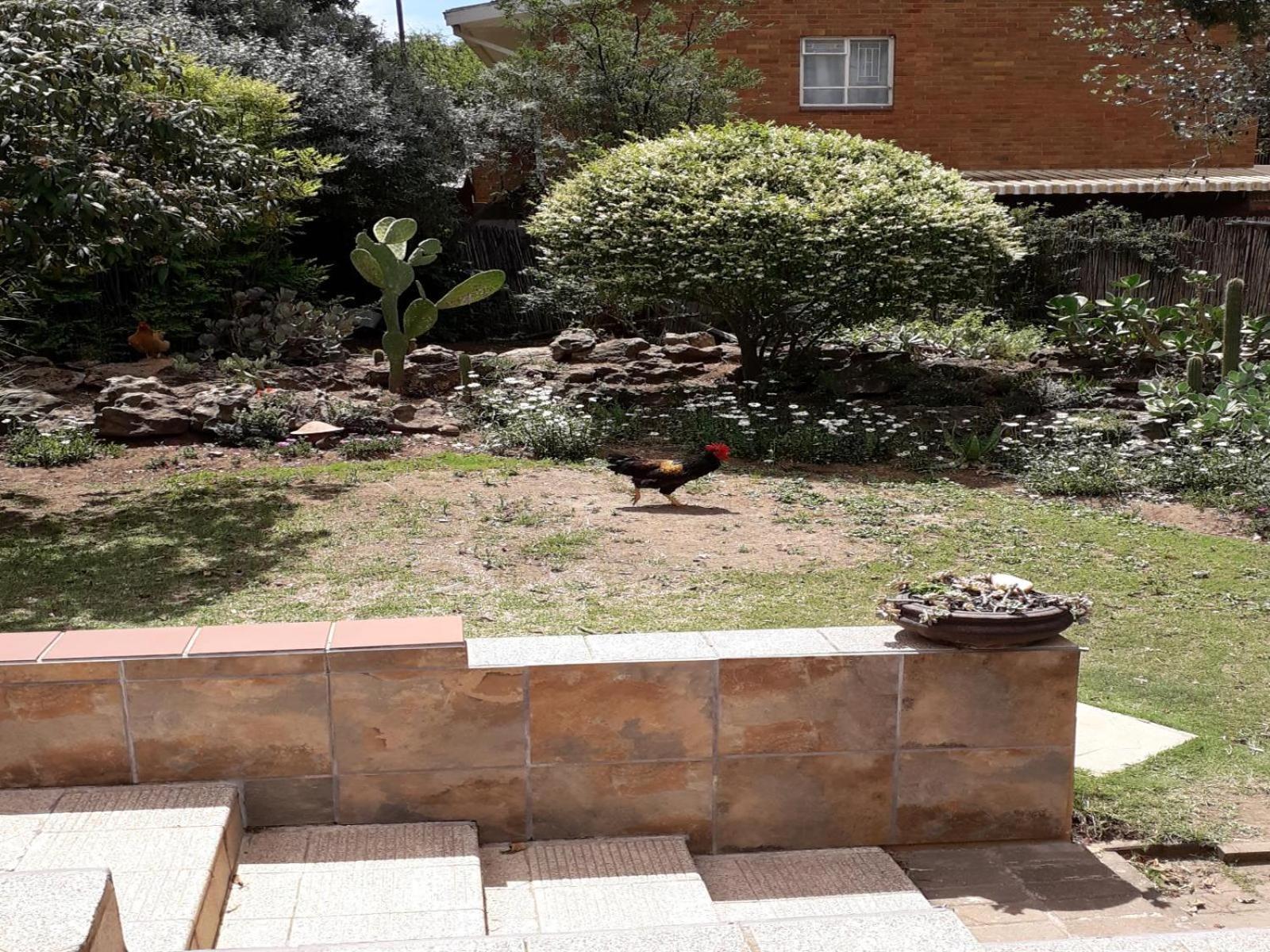 Aandrus Bnb Kestell Exterior photo
